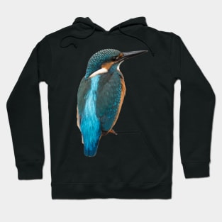 Close-up of a common kingfisher or Alcedo atthis Hoodie